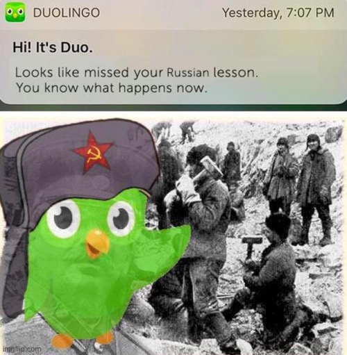 Off to the gulag! | image tagged in duolingo,gulag,repost,russian,memes,funny | made w/ Imgflip meme maker