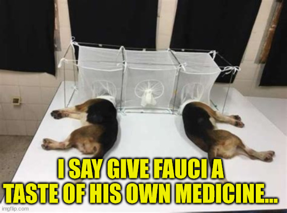 I SAY GIVE FAUCI A TASTE OF HIS OWN MEDICINE... | made w/ Imgflip meme maker