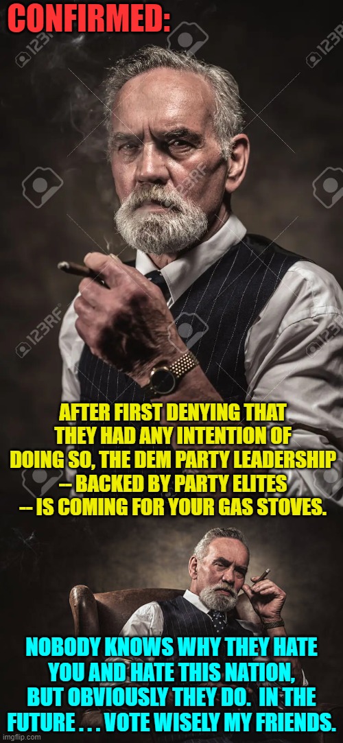 Why does the Dem Party leadership and elites hate the little guys and gals? | CONFIRMED:; AFTER FIRST DENYING THAT THEY HAD ANY INTENTION OF DOING SO, THE DEM PARTY LEADERSHIP -- BACKED BY PARTY ELITES -- IS COMING FOR YOUR GAS STOVES. NOBODY KNOWS WHY THEY HATE YOU AND HATE THIS NATION, BUT OBVIOUSLY THEY DO.  IN THE FUTURE . . . VOTE WISELY MY FRIENDS. | image tagged in truth | made w/ Imgflip meme maker