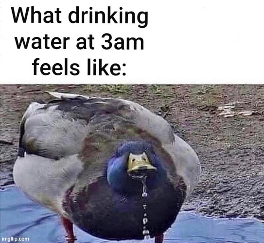 It tastes so good | image tagged in ducks,memes,funny,repost,water,relatable memes | made w/ Imgflip meme maker