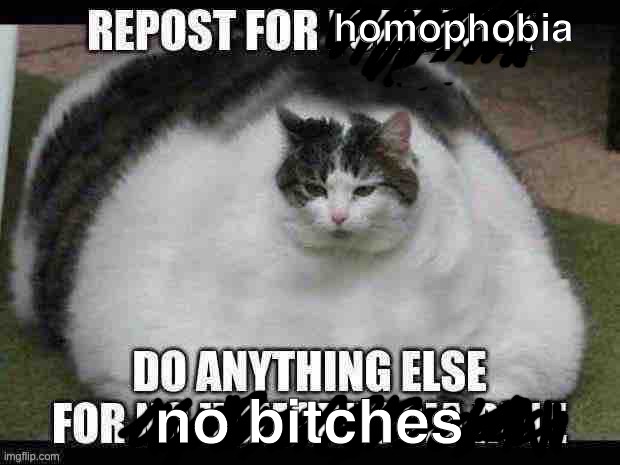 homophobia; no bitches | made w/ Imgflip meme maker