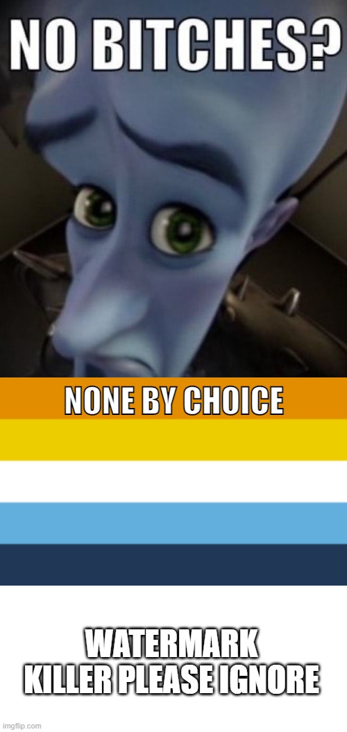 WATERMARK KILLER PLEASE IGNORE NONE BY CHOICE | image tagged in no bitches megamind,aroace flag | made w/ Imgflip meme maker