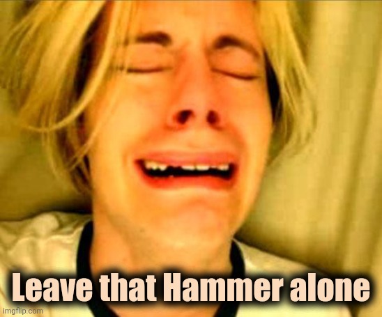 Leave Britney Alone | Leave that Hammer alone | image tagged in leave britney alone | made w/ Imgflip meme maker