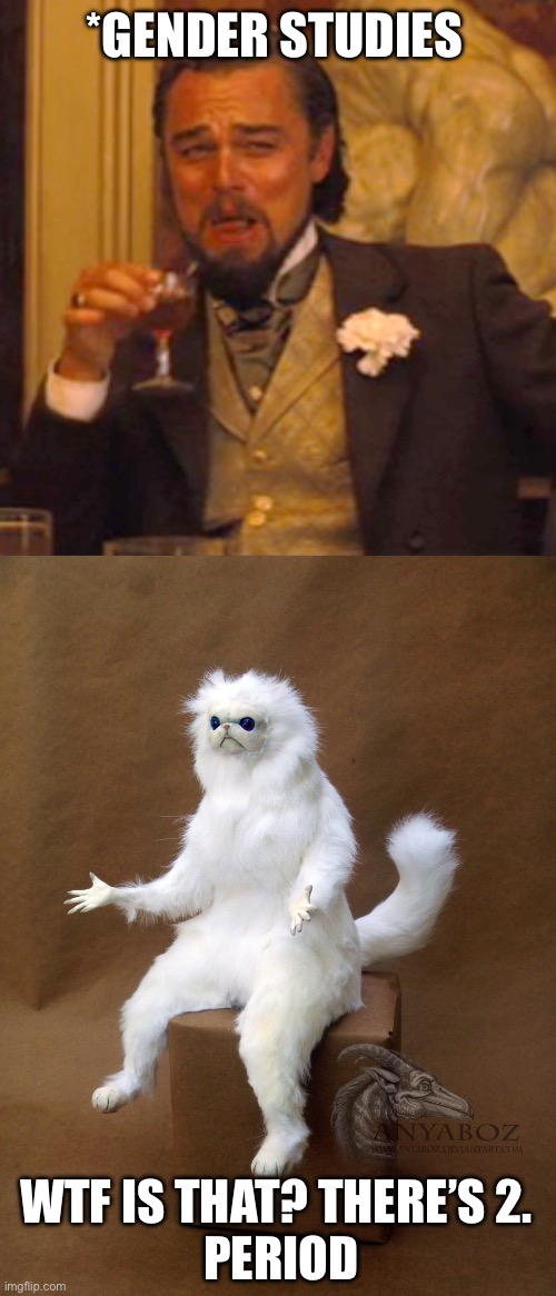 *GENDER STUDIES WTF IS THAT? THERE’S 2. 
PERIOD | image tagged in memes,laughing leo,persian cat room guardian single | made w/ Imgflip meme maker