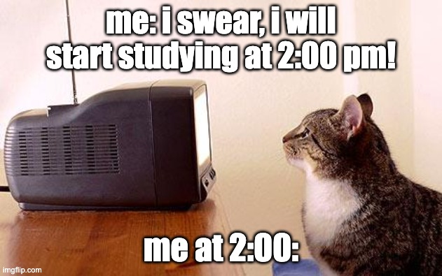 you just cant stop | me: i swear, i will start studying at 2:00 pm! me at 2:00: | image tagged in cat watching tv,relatable,study,school,cat | made w/ Imgflip meme maker