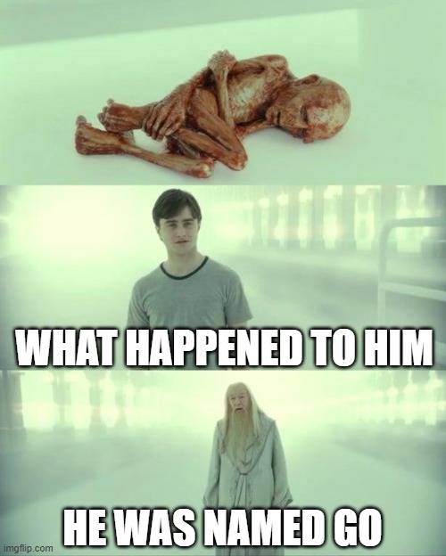 Dead Baby Voldemort / What Happened To Him | WHAT HAPPENED TO HIM HE WAS NAMED GO | image tagged in dead baby voldemort / what happened to him | made w/ Imgflip meme maker