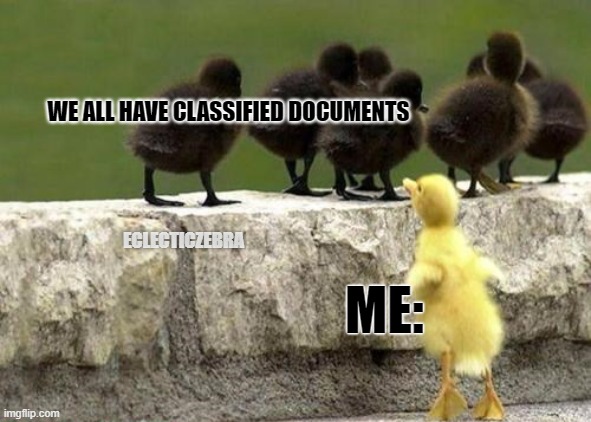 left out duck | WE ALL HAVE CLASSIFIED DOCUMENTS; ECLECTICZEBRA; ME: | image tagged in left out duck | made w/ Imgflip meme maker