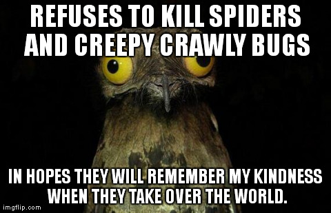 Weird Stuff I Do Potoo Meme | REFUSES TO KILL SPIDERS AND CREEPY CRAWLY BUGS IN HOPES THEY WILL REMEMBER MY KINDNESS WHEN THEY TAKE OVER THE WORLD. | image tagged in memes,weird stuff i do potoo,AdviceAnimals | made w/ Imgflip meme maker