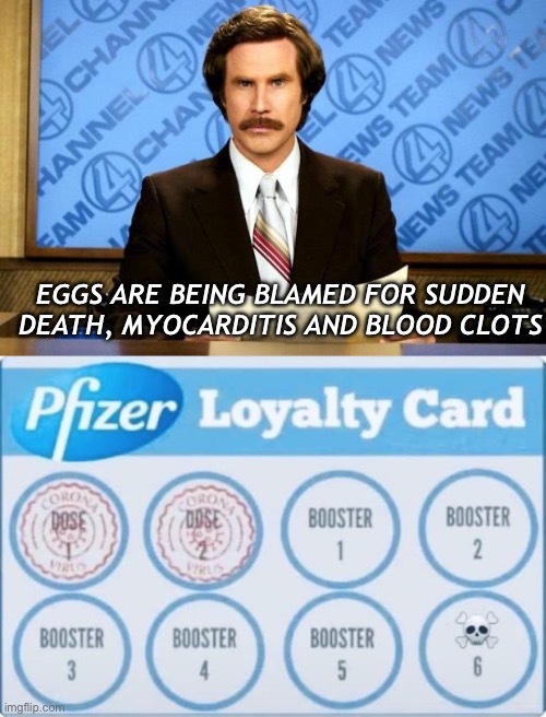 It’s the eggs | EGGS ARE BEING BLAMED FOR SUDDEN DEATH, MYOCARDITIS AND BLOOD CLOTS | image tagged in breaking news,covid vaccine | made w/ Imgflip meme maker