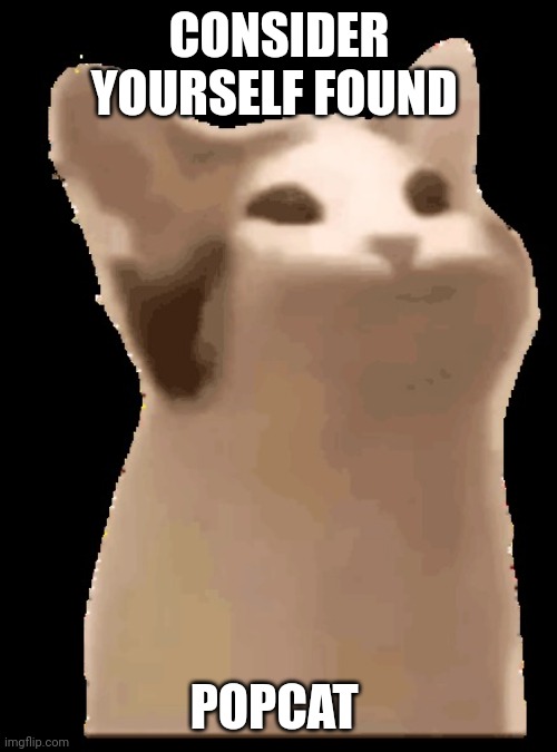 POPCAT | CONSIDER YOURSELF FOUND; POPCAT | image tagged in popcat | made w/ Imgflip meme maker