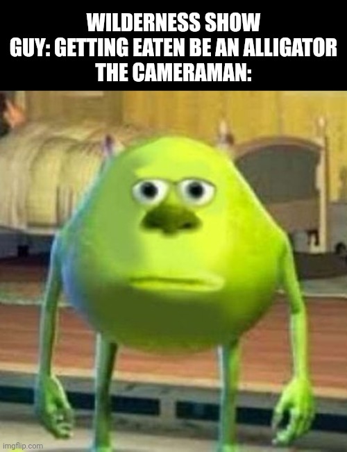 Meme #373 | WILDERNESS SHOW GUY: GETTING EATEN BE AN ALLIGATOR
THE CAMERAMAN: | image tagged in monsters inc face swap,monsters inc,monsters,hahaha,cameras,memes | made w/ Imgflip meme maker