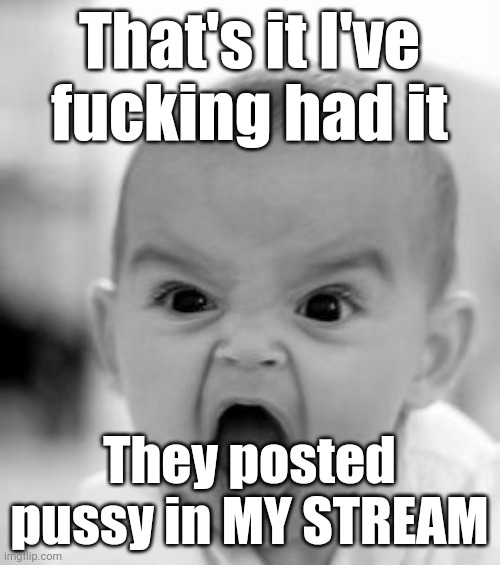 Ima kms | That's it I've fucking had it; They posted pussy in MY STREAM | image tagged in memes,angry baby | made w/ Imgflip meme maker