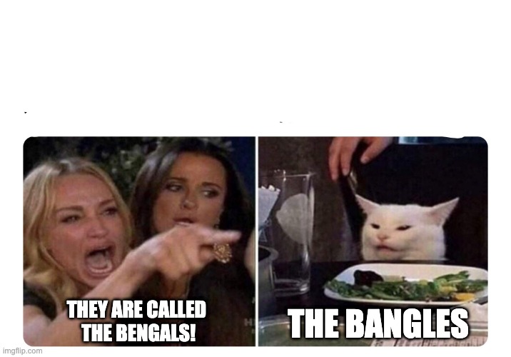 Cincinatti Bengals, not Bangles | THE BANGLES; THEY ARE CALLED 
THE BENGALS! | image tagged in housewives cat | made w/ Imgflip meme maker