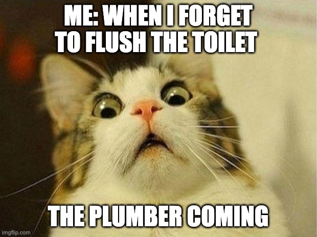 Scared Cat | ME: WHEN I FORGET TO FLUSH THE TOILET; THE PLUMBER COMING | image tagged in memes,scared cat | made w/ Imgflip meme maker