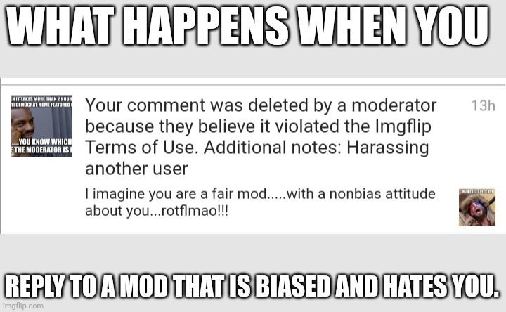 Child mods. | WHAT HAPPENS WHEN YOU; REPLY TO A MOD THAT IS BIASED AND HATES YOU. | made w/ Imgflip meme maker
