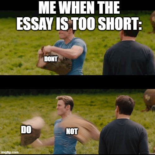 relatable??? | ME WHEN THE ESSAY IS TOO SHORT:; DONT; DO; NOT | image tagged in relateable,fun | made w/ Imgflip meme maker