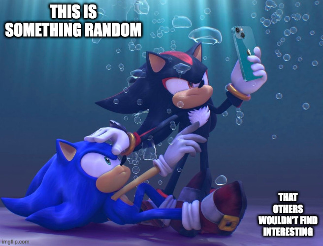 Sonic and Shadow Underwater | THIS IS SOMETHING RANDOM; THAT OTHERS WOULDN'T FIND INTERESTING | image tagged in sonic the hedgehog,shadow the hedgehog,meme | made w/ Imgflip meme maker