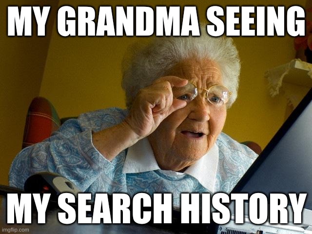 it so crazy | MY GRANDMA SEEING; MY SEARCH HISTORY | image tagged in memes,grandma finds the internet | made w/ Imgflip meme maker