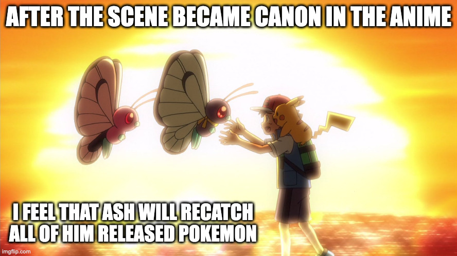 Ash Revisiting Butterfree | AFTER THE SCENE BECAME CANON IN THE ANIME; I FEEL THAT ASH WILL RECATCH ALL OF HIM RELEASED POKEMON | image tagged in ash ketchum,pokemon,butterfree,memes | made w/ Imgflip meme maker