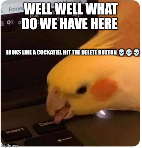 What a birb | WELL WELL WHAT DO WE HAVE HERE; LOOKS LIKE A COCKATIEL HIT THE DELETE BUTTON 💀💀💀 | image tagged in cockatiel delete button,birb | made w/ Imgflip meme maker