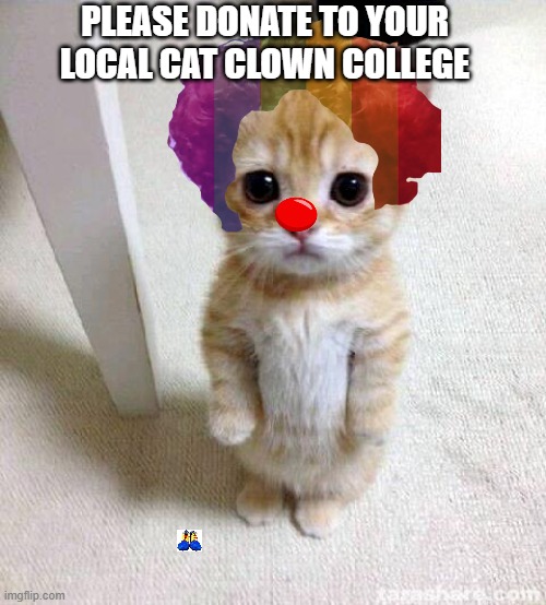 Cute Cat | PLEASE DONATE TO YOUR LOCAL CAT CLOWN COLLEGE | image tagged in memes,cute cat | made w/ Imgflip meme maker
