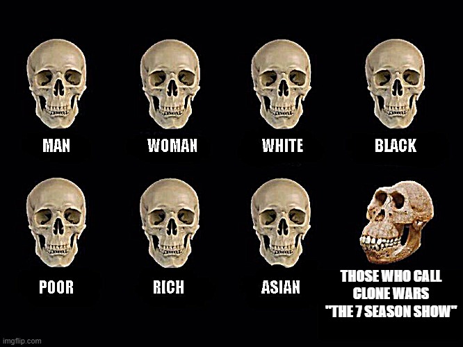 Those who call Clone Wars "the seven season show" | THOSE WHO CALL CLONE WARS "THE 7 SEASON SHOW" | image tagged in empty skulls of truth | made w/ Imgflip meme maker