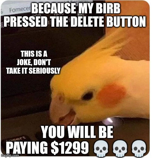 You had one job cockatiel. 12.99 ->$1299 | BECAUSE MY BIRB PRESSED THE DELETE BUTTON; THIS IS A JOKE, DON'T TAKE IT SERIOUSLY; YOU WILL BE PAYING $1299 💀💀💀 | image tagged in cockatiel delete button | made w/ Imgflip meme maker