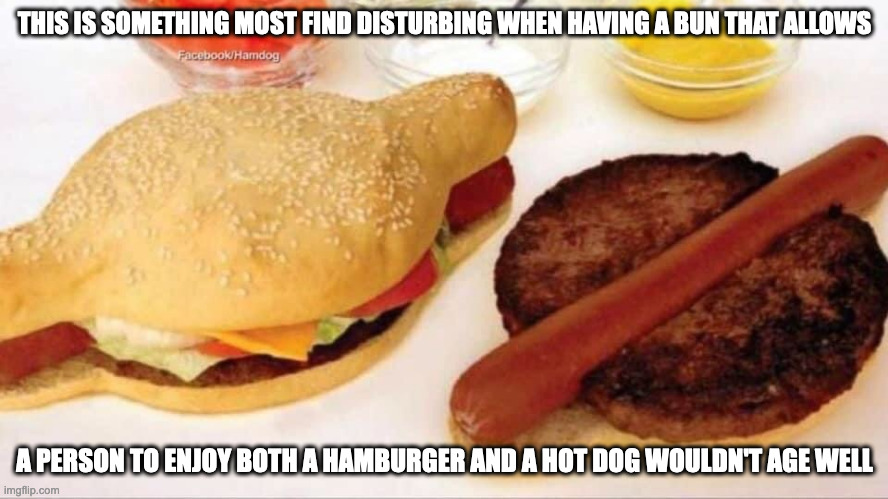 Hamburger and Hot Dog Together | THIS IS SOMETHING MOST FIND DISTURBING WHEN HAVING A BUN THAT ALLOWS; A PERSON TO ENJOY BOTH A HAMBURGER AND A HOT DOG WOULDN'T AGE WELL | image tagged in food,memes,hamburger,hot dog | made w/ Imgflip meme maker