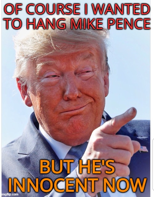 Time heals all wounds | OF COURSE I WANTED TO HANG MIKE PENCE; BUT HE'S INNOCENT NOW | image tagged in mike pence,innocent,donald trump,secret,funny meme | made w/ Imgflip meme maker