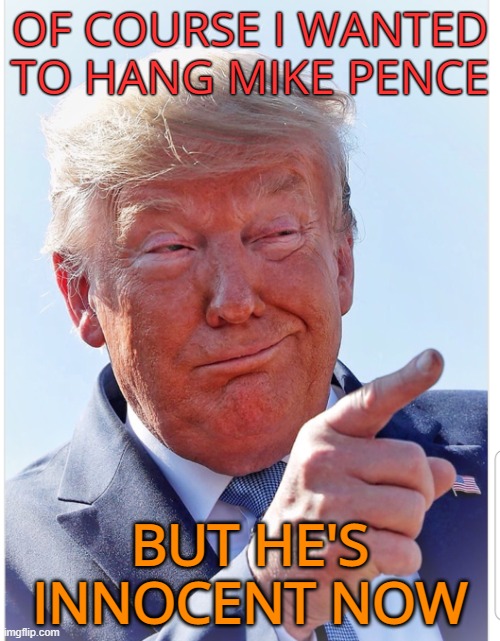 Time heals Trump wounds | OF COURSE I WANTED TO HANG MIKE PENCE; BUT HE'S INNOCENT NOW | image tagged in donald trump,mike pence,innocent,maga,funny memes | made w/ Imgflip meme maker