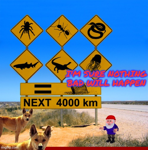 Gnomes visit Australia | I'M SURE NOTHING BAD WILL HAPPEN | image tagged in australia,gnomes,dingos,im sure nothing bad will happen | made w/ Imgflip meme maker