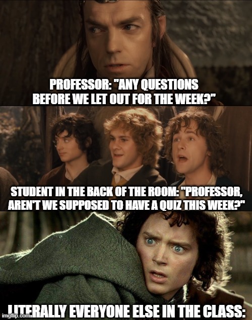That One Student in Class... | PROFESSOR: "ANY QUESTIONS BEFORE WE LET OUT FOR THE WEEK?"; STUDENT IN THE BACK OF THE ROOM: "PROFESSOR, AREN'T WE SUPPOSED TO HAVE A QUIZ THIS WEEK?"; LITERALLY EVERYONE ELSE IN THE CLASS: | image tagged in lotr,lord of the rings,the lord of the rings,frodo,school,quiz | made w/ Imgflip meme maker