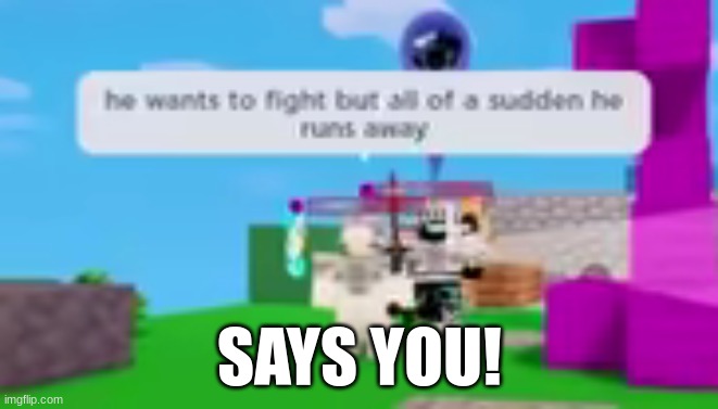 screenshot from a minibloxia video | SAYS YOU! | image tagged in bedwars,roblox,funny memes,memes,funny | made w/ Imgflip meme maker