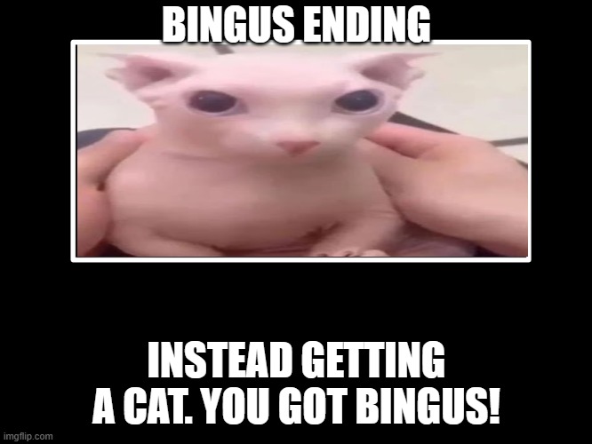 Bingus!! | BINGUS ENDING; INSTEAD GETTING A CAT. YOU GOT BINGUS! | image tagged in all endings | made w/ Imgflip meme maker