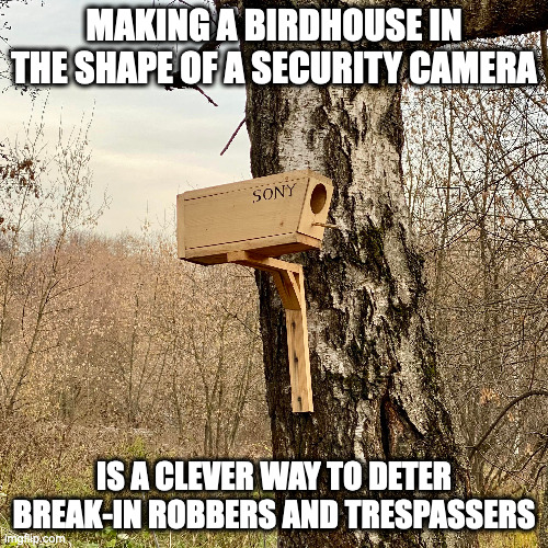 Security Camera-Shaped Birdhouse | MAKING A BIRDHOUSE IN THE SHAPE OF A SECURITY CAMERA; IS A CLEVER WAY TO DETER BREAK-IN ROBBERS AND TRESPASSERS | image tagged in birdhouse,memes | made w/ Imgflip meme maker