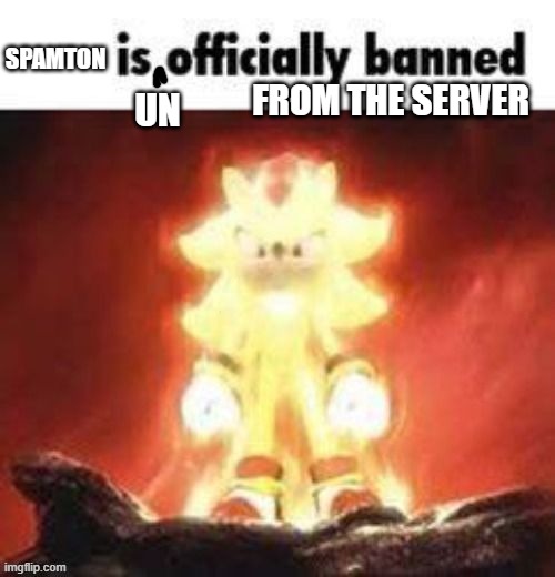 Spamton is unofficially banned from the server | SPAMTON; FROM THE SERVER; UN | image tagged in spamton,deltarune,shadow the hedgehog | made w/ Imgflip meme maker