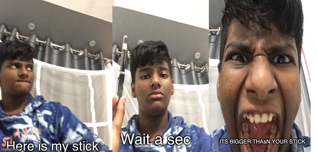 Get it now? | Wait a sec; Here is my stick; ITS BIGGER THAsN YOUR STICK | image tagged in behold my stick,behold,behold my stuff,idc | made w/ Imgflip meme maker