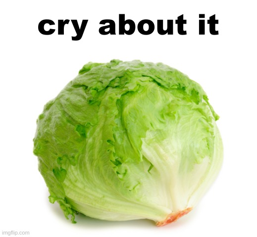 Lettuce  | cry about it | image tagged in lettuce,shitpost | made w/ Imgflip meme maker