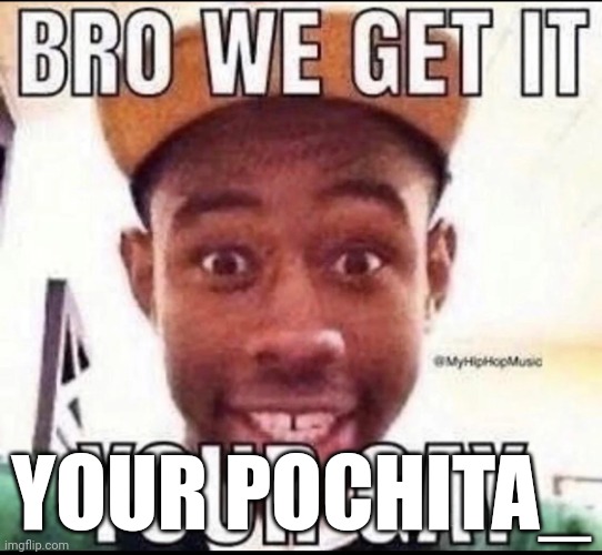 BRO WE GET IT YOU'RE GAY | YOUR POCHITA_ | image tagged in bro we get it you're gay | made w/ Imgflip meme maker