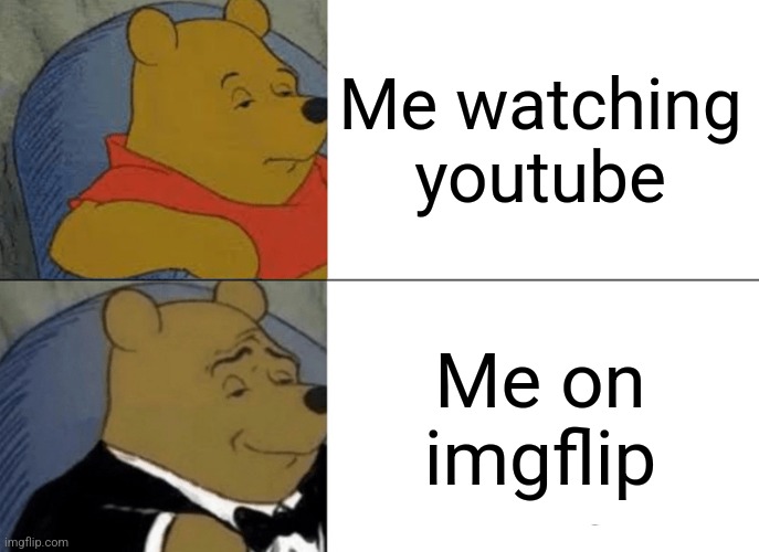 Anyone understand | Me watching youtube; Me on imgflip | image tagged in memes,tuxedo winnie the pooh | made w/ Imgflip meme maker