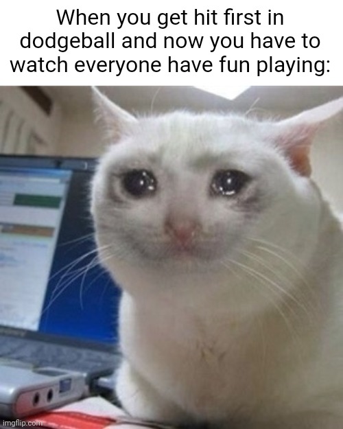 Insert the true story image 69420 times | When you get hit first in dodgeball and now you have to watch everyone have fun playing: | image tagged in crying cat,school,prison,dodgeball,relatable | made w/ Imgflip meme maker