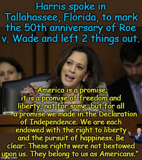Without LIFE, there is no promise, no right to liberty, no pursuit of happiness unless you are an unelected Democrat | Harris spoke in Tallahassee, Florida, to mark the 50th anniversary of Roe v. Wade and left 2 things out. “America is a promise; it is a promise of freedom and liberty, not for some, but for all — a promise we made in the Declaration of Independence. We are each endowed with the right to liberty and the pursuit of happiness. Be clear: These rights were not bestowed upon us. They belong to us as Americans.” | image tagged in kamala harris | made w/ Imgflip meme maker