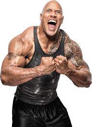 Download Meme Profile Picture The Rock