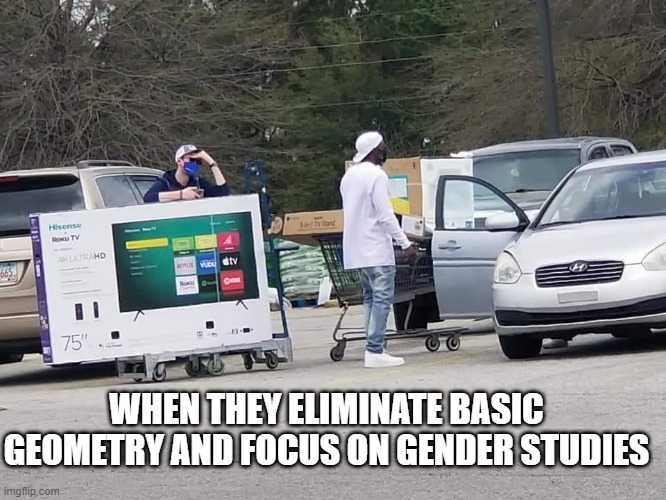 Progressive Education Fail | WHEN THEY ELIMINATE BASIC GEOMETRY AND FOCUS ON GENDER STUDIES | image tagged in humor,education,leftists | made w/ Imgflip meme maker