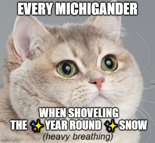 Mhm! | EVERY MICHIGANDER; WHEN SHOVELING THE ✨YEAR ROUND ✨SNOW | image tagged in memes,heavy breathing cat | made w/ Imgflip meme maker