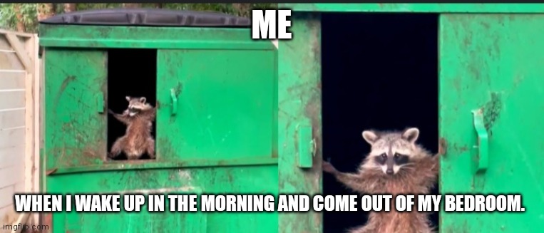 In the morning | ME; WHEN I WAKE UP IN THE MORNING AND COME OUT OF MY BEDROOM. | image tagged in racoon dumpster | made w/ Imgflip meme maker