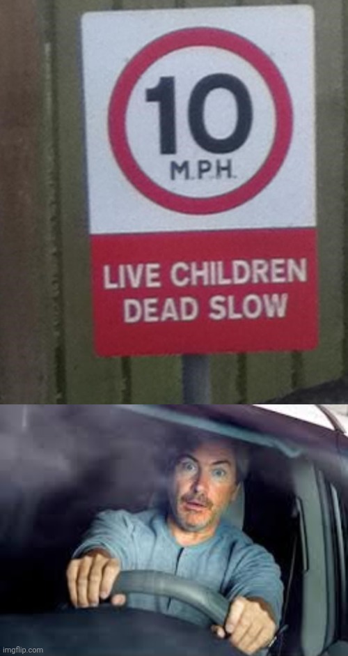 Children | image tagged in scared driver,children,you had one job,memes,design fails,road sign | made w/ Imgflip meme maker