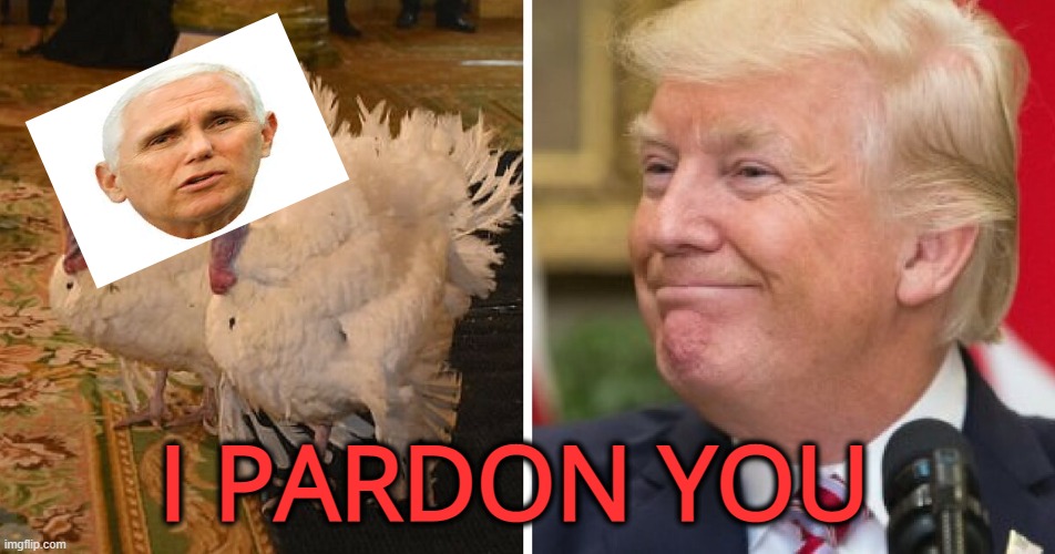 trump turkey pardon | I PARDON YOU | image tagged in trump turkey pardon | made w/ Imgflip meme maker