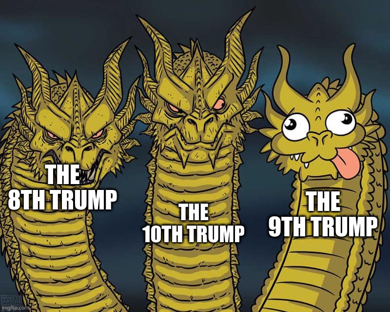 A 10-card fit | THE 10TH TRUMP; THE 8TH TRUMP; THE 9TH TRUMP | image tagged in three dragons | made w/ Imgflip meme maker