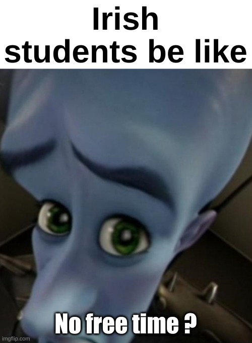 Context : Ireland removed homework | Irish students be like; No free time ? | image tagged in megamind no bitches | made w/ Imgflip meme maker